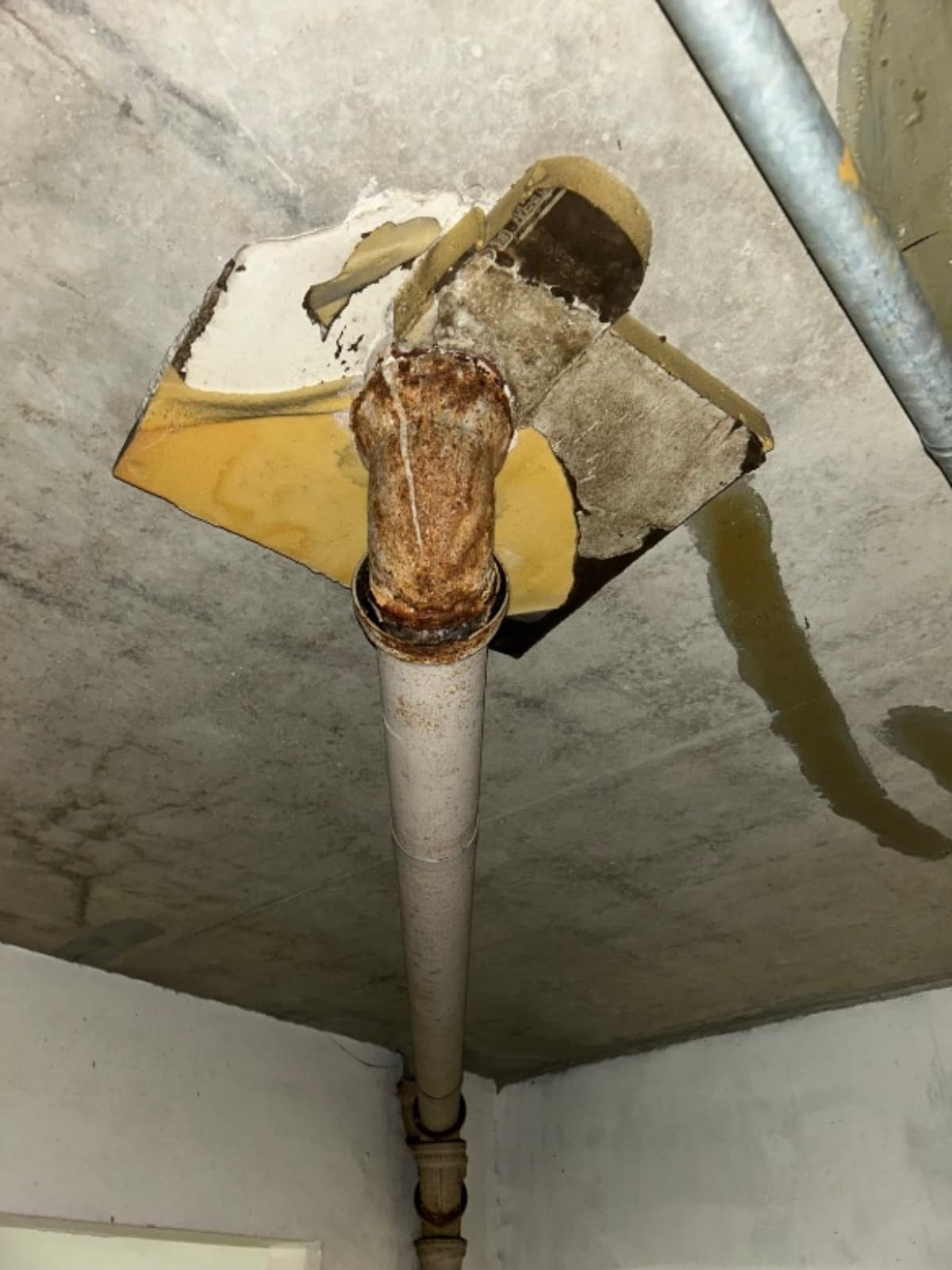 Capture d’écran 2025-10-20 à 10.29.41