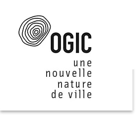 Ogic